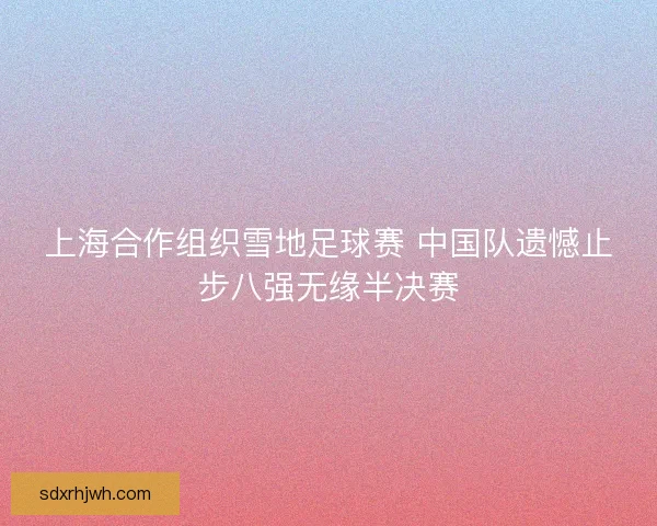 上海合作组织雪地足球赛 中国队遗憾止步八强无缘半决赛